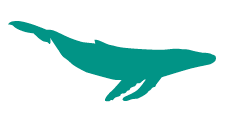 Whale